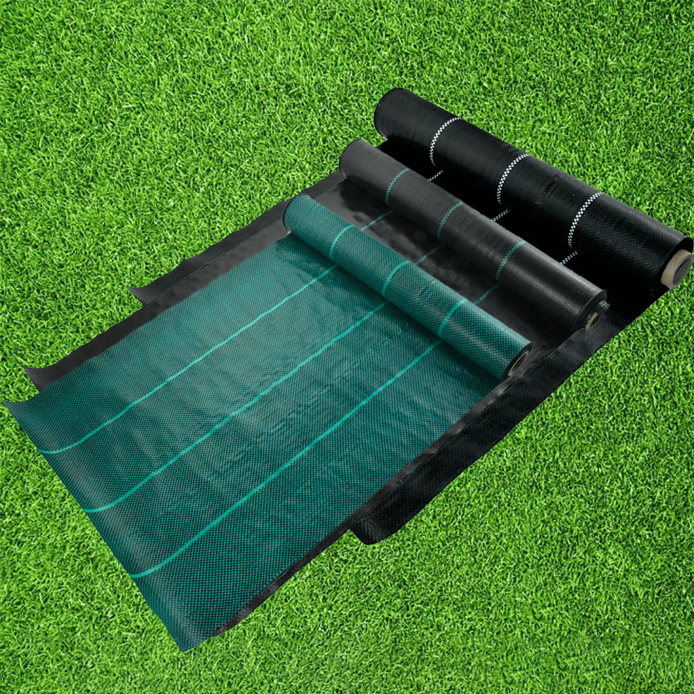 Couverture de sol en plastique noir de jardin agricole de personnalisation anti