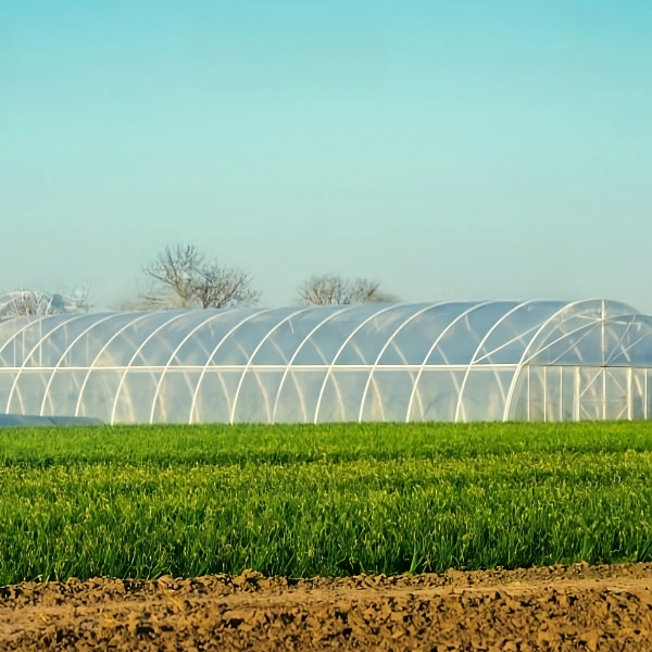 Impact du filet en plastique agricole sur l'agriculture