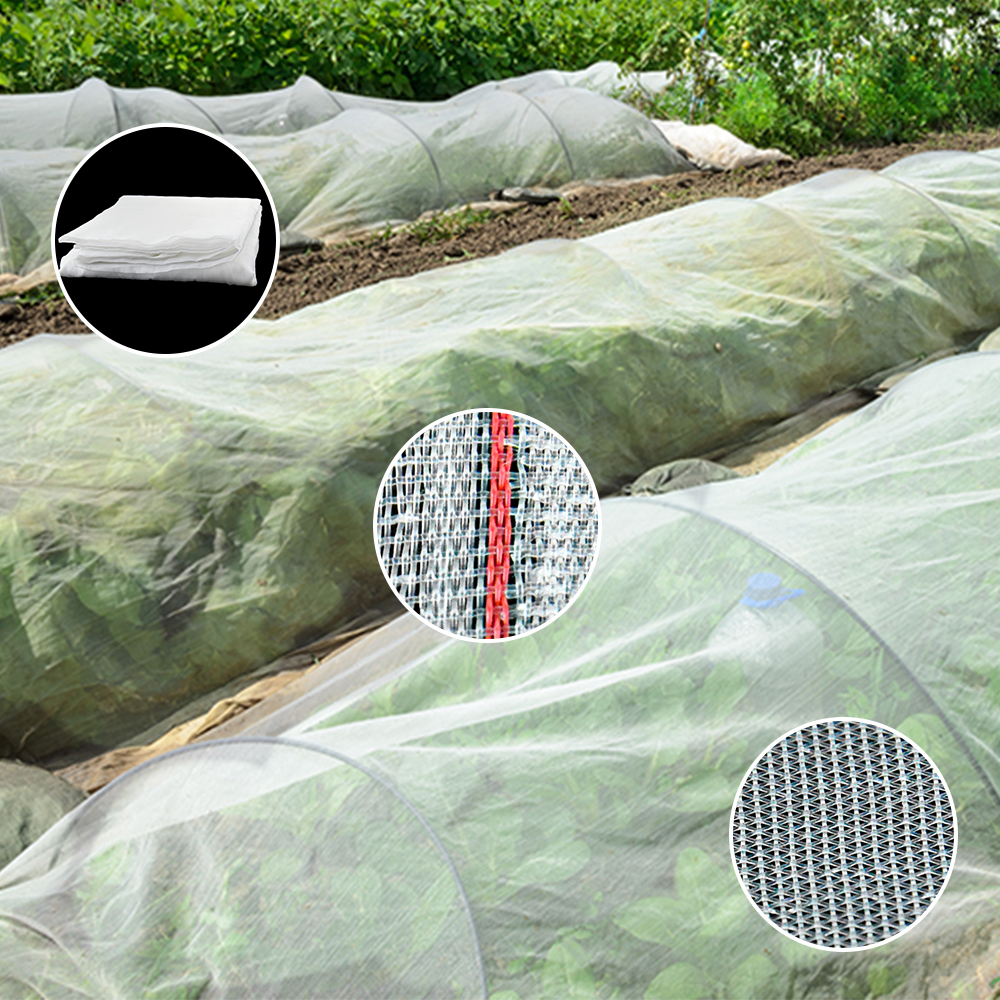 Légumes en plastique de jardin de filets de maille d'insecte de protection de serre d'agriculture