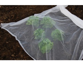 filet anti-insectes à effet de serre