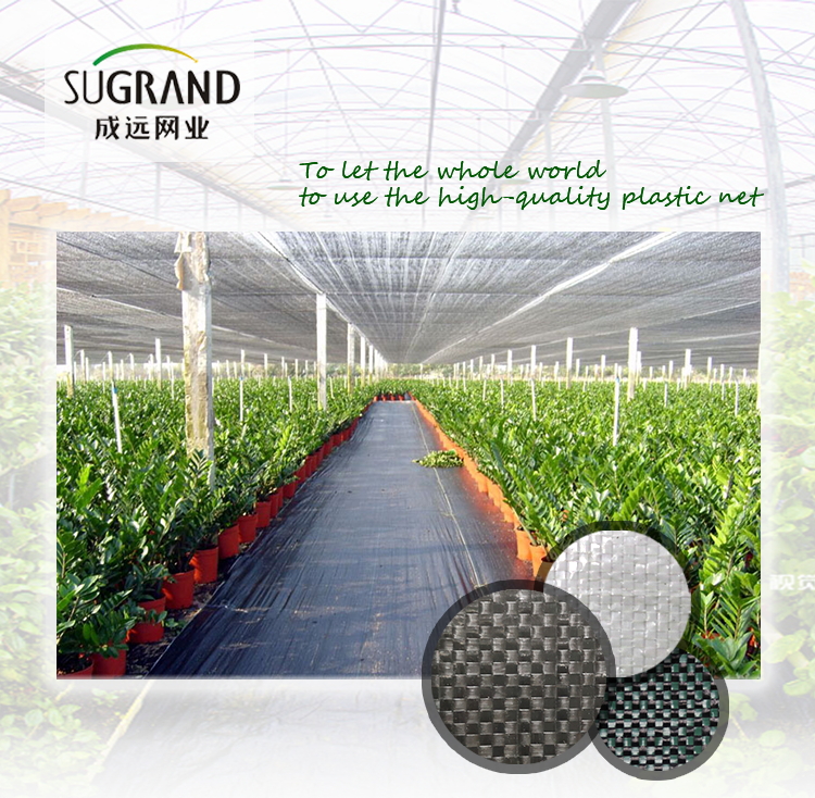Avantages de la membrane de couverture du sol dans la plantation