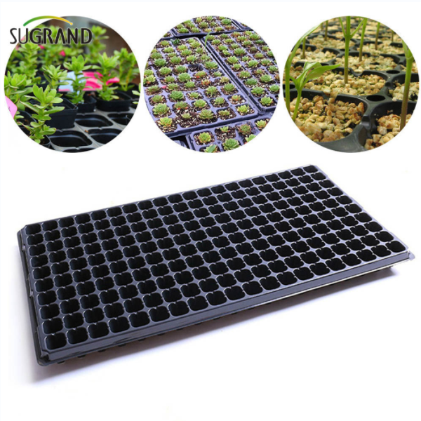 Partenaire de plantation par lots - plateau de semis