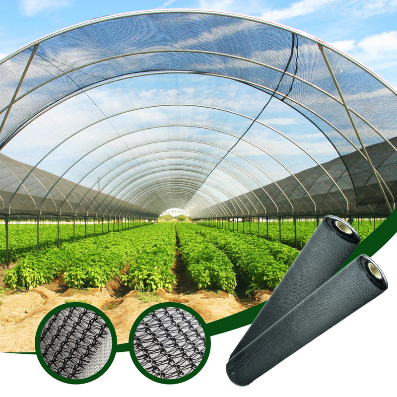 Filet coupe-vent net résistant aux UV de tissu d'ombrage de protection solaire pour l'agriculture