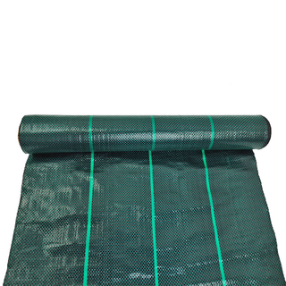 Couvercle de sol vert foncé 104gsm