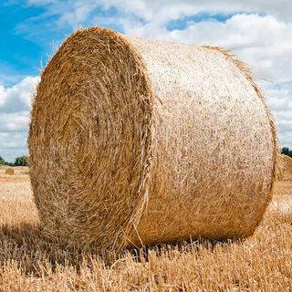 Filet de balles de palettes, filet d'emballage d'ensilage en gros