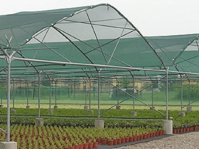 Netting d'ombre