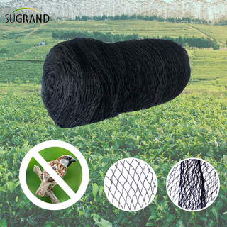 Filet anti-oiseaux noir 17mX17m Pigeon Net pour arbres fruitiers