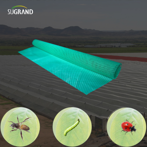 Comment installer le filet d'insectes: un guide de bricolage pour les agriculteurs et les jardiniers