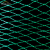Green Bird Net 4x30m Bird Net pour les fournisseurs du marché en Thaïlande