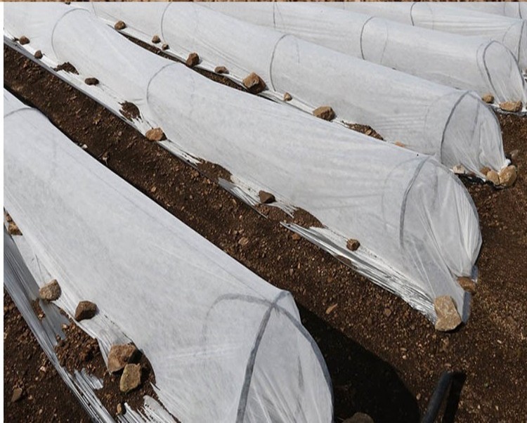 tissu non tissé d'approvisionnement d'usine