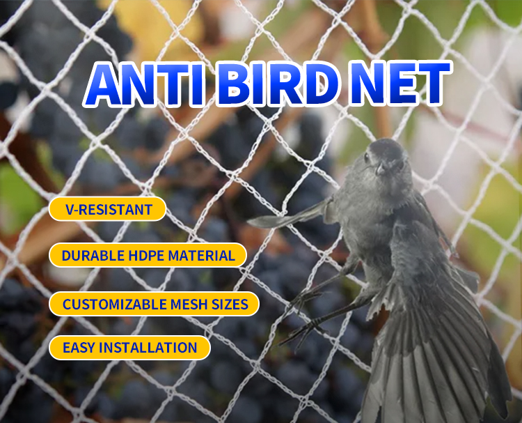 filet anti-oiseau