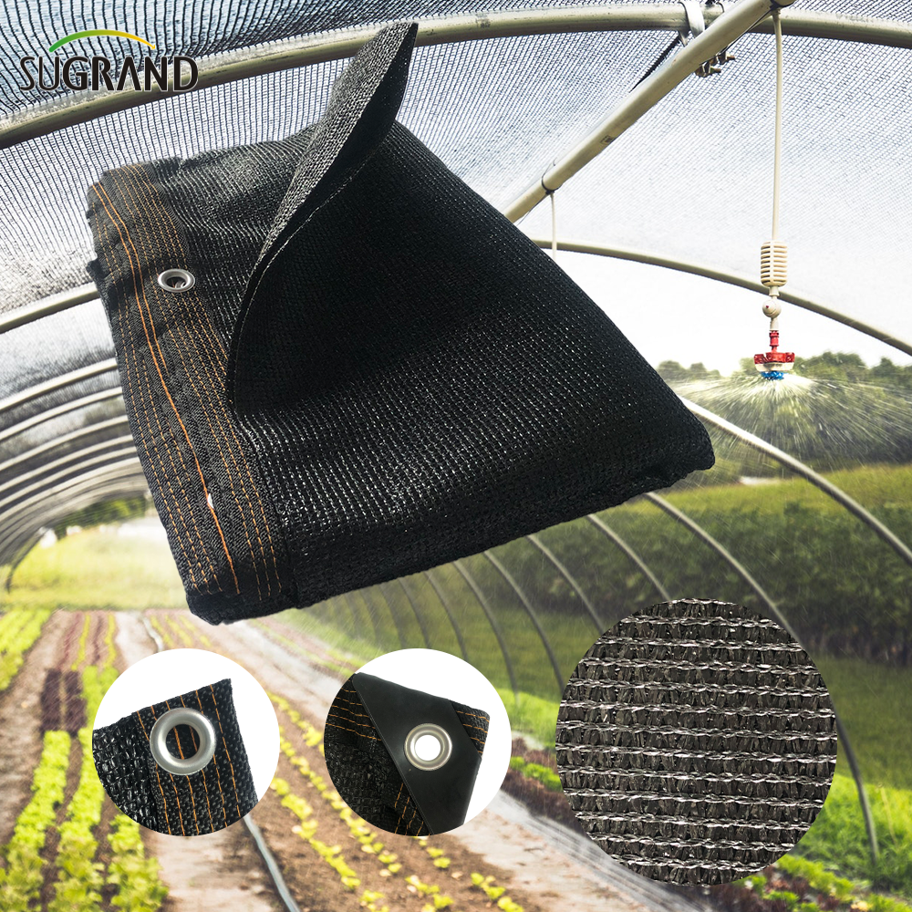 NETS D'OBEILLE Vs. Film de serre: Quelle est la meilleure solution de contrôle du climat?