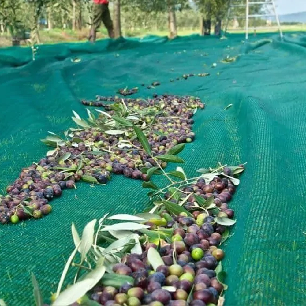 Quel matériau fait les filets d'olive les plus durables?