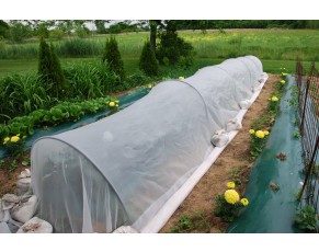 Quatre points principaux dans l'utilisation d'un filet anti-insectes