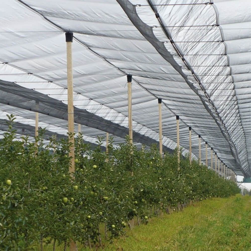 Filet anti-grêle tricoté de qualité supérieure pour les vignobles