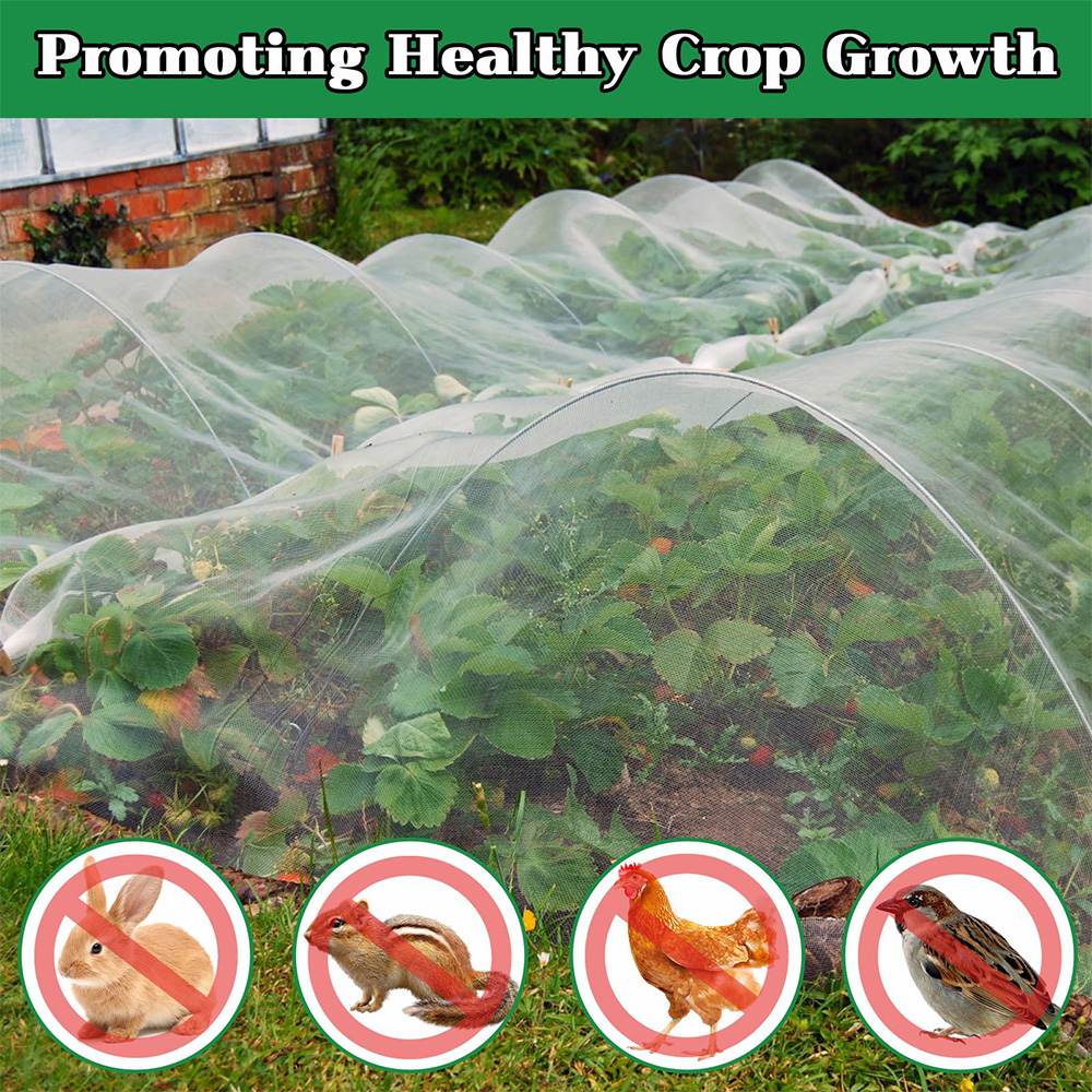 Anti-insecte Netting HDPE 40 50 Mesh Transparent blanc