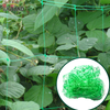 Fournisseurs de filets de soutien d'escalade de plante de treillis de Balck vert blanc de jardin