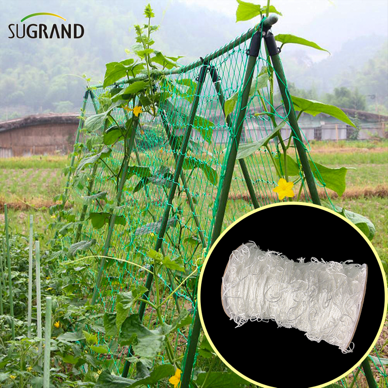 Nouveau filet de soutien à la plante d'escalade de plante blanche blanc HDPE