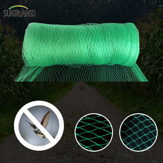 Green Bird Net 4x30m Bird Net pour les fournisseurs du marché thaïlandais