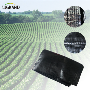 5% UV Black Out Tissu Aluminium Shade Net pour le marché thaïlandais 