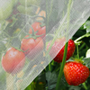 Anti-insecte Netting HDPE 40 50 Mesh Transparent blanc