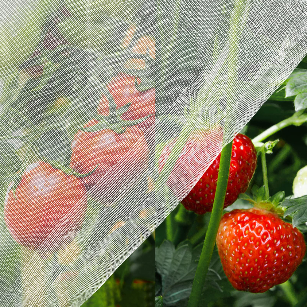 Anti-insecte Netting HDPE 40 50 Mesh Transparent blanc