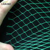 Green Bird Net 4x30m Bird Net pour les fournisseurs du marché en Thaïlande
