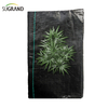 100% PP noir couvre-sol/tissu anti-mauvaises herbes