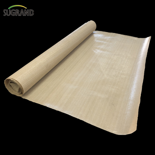 Auvent imperméable beige 320GSM avec usine UV