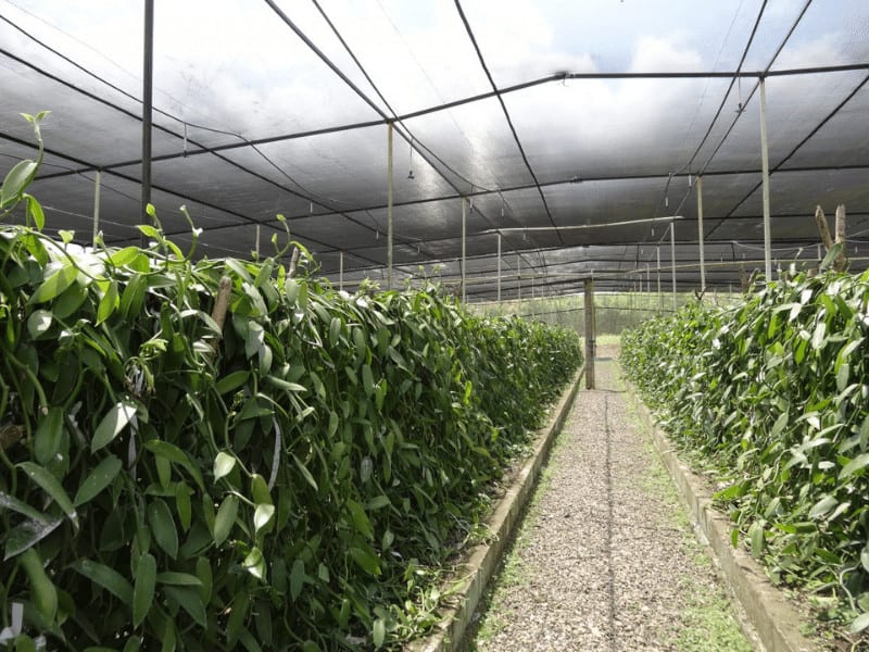 Agriculture Shade Net