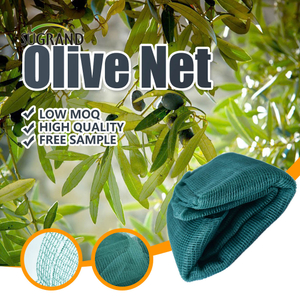Filet de collecte d'olives 5X10m pour la récolte de fruits Filet d'olives en Italie